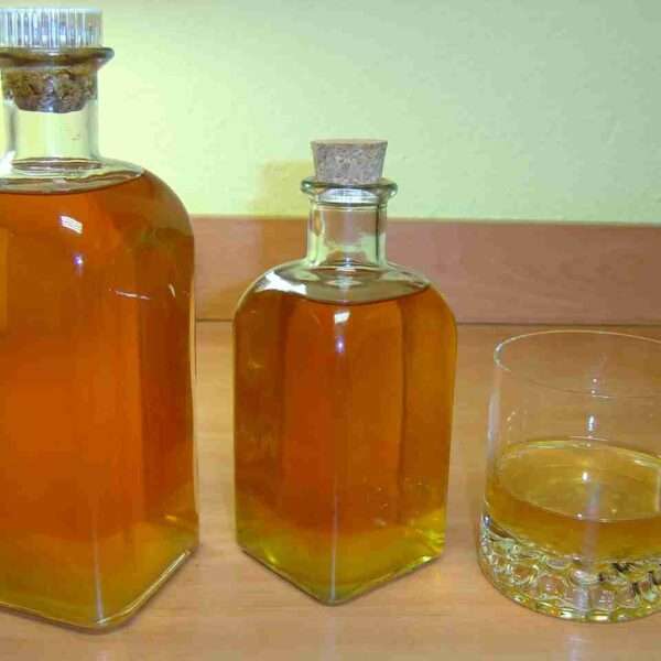 Hojaldre de setas con cebolla caramelizada