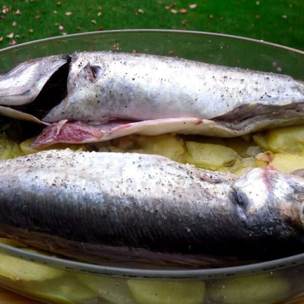 receta especial