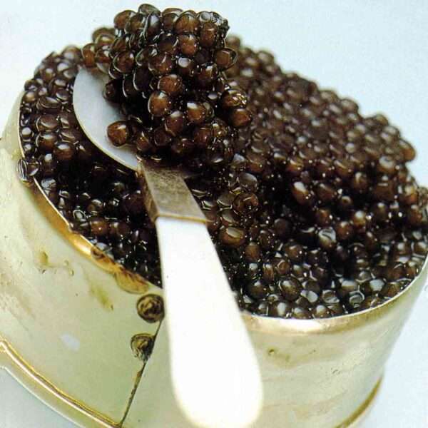 caviar