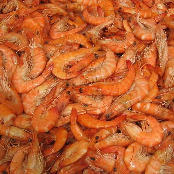 langostinos