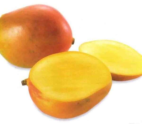 mangos