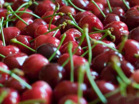 cerezas