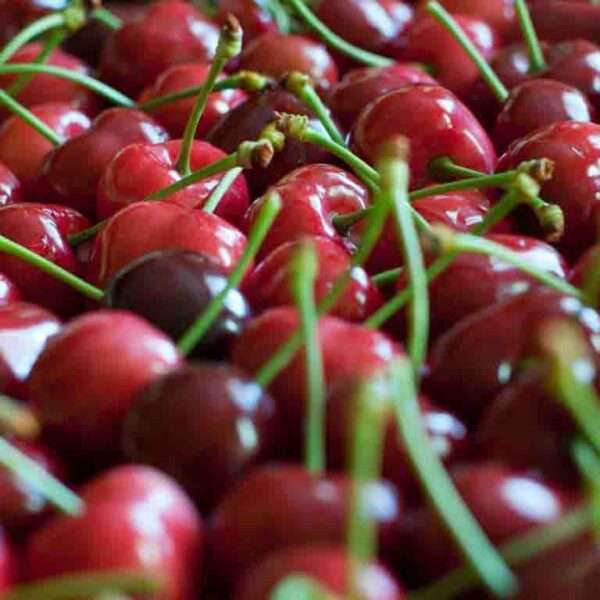 cerezas
