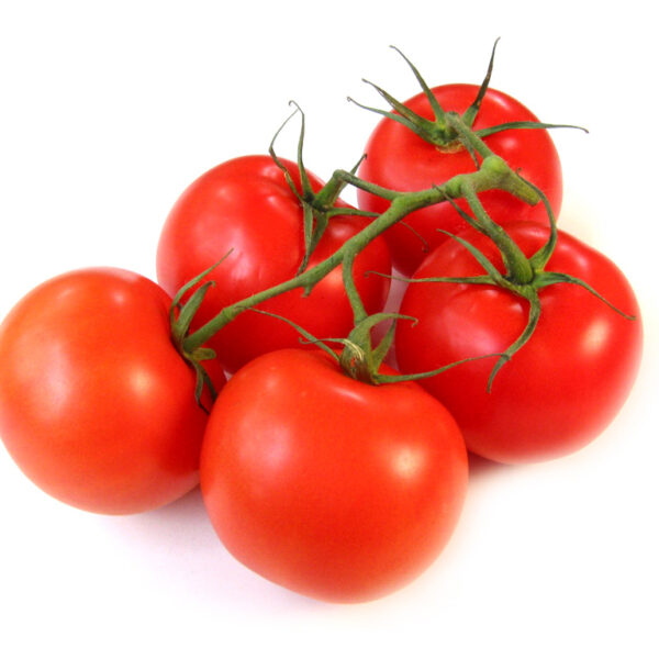 tomates