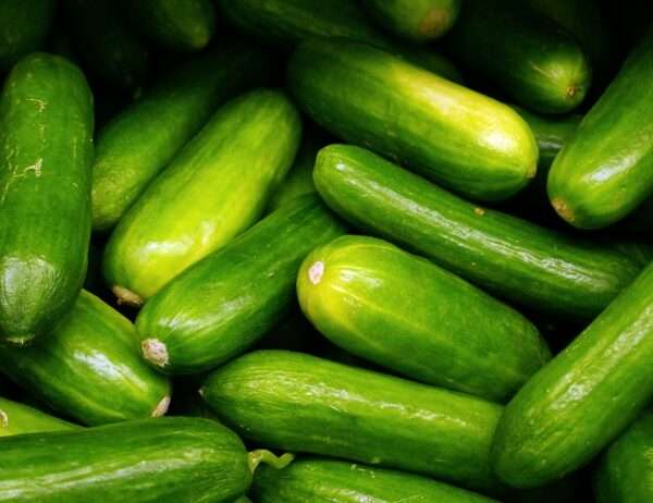 pepinos
