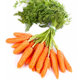 zanahorias