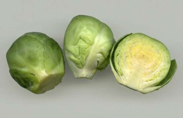 coles de bruselas