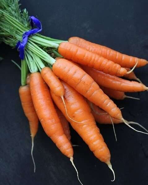 zanahorias