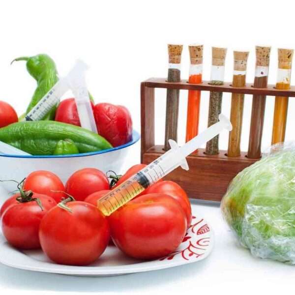 Alimentos transgénicos, ¿estamos seguros?