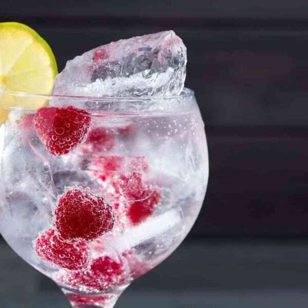 Cómo preparar el Gin Tonic perfecto
