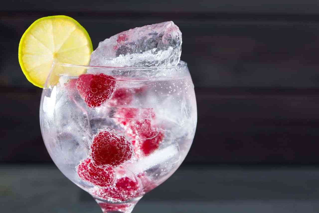 Cómo preparar el Gin Tonic perfecto