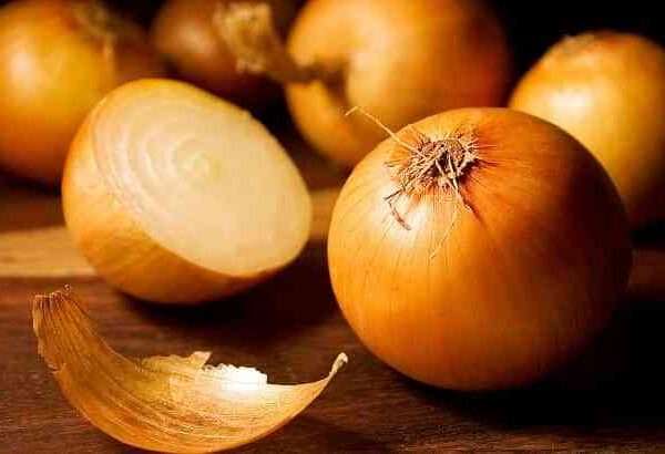 Receta para principiantes: timbal de cebolla