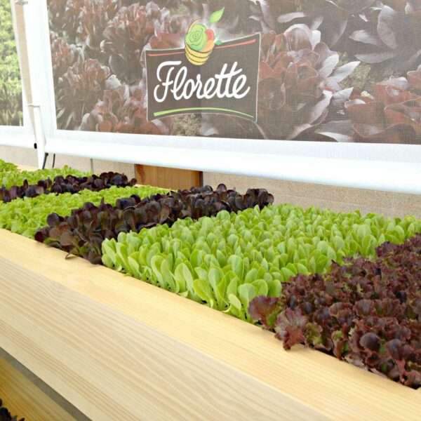 Presentación de los nuevos menús completos de Florette