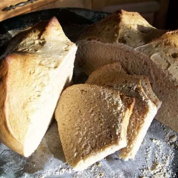 pan rápido en la thermomix