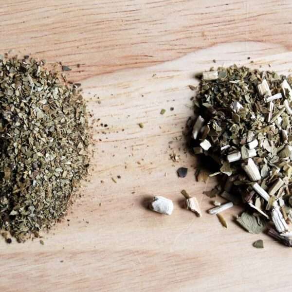 ¿Conoces los beneficios de la yerba mate para la salud?