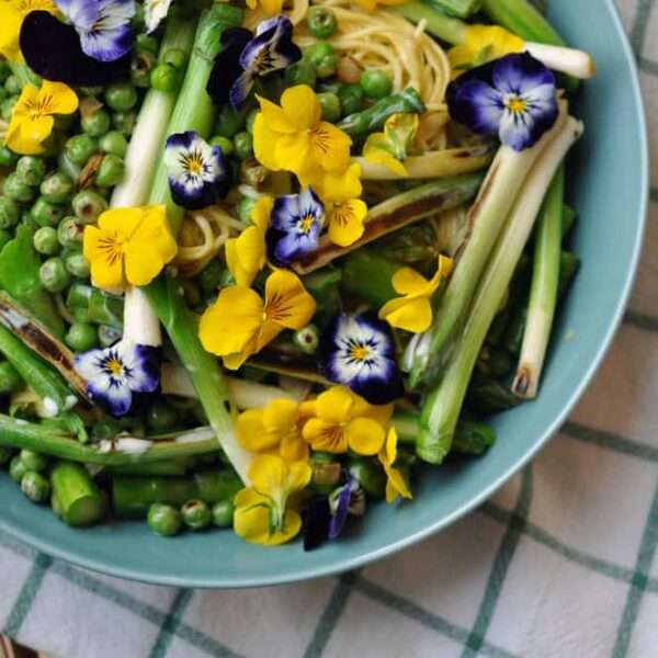 recetas frescas para la primavera