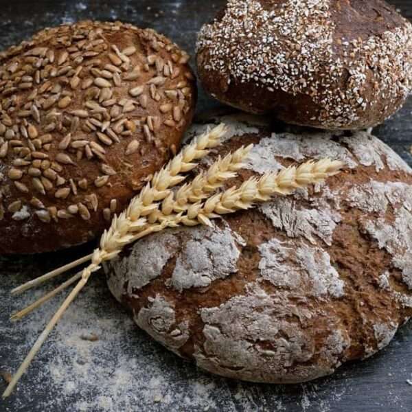 Consumir moderadamente carbohidratos reduce la mortalidad