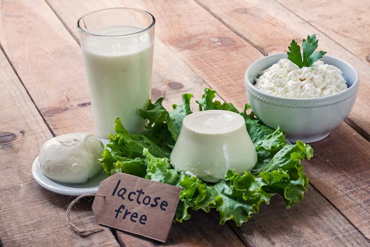 libre de lactosa