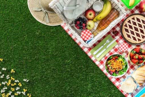 picnic sano seguro