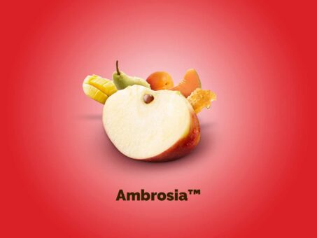 vip ambrosia