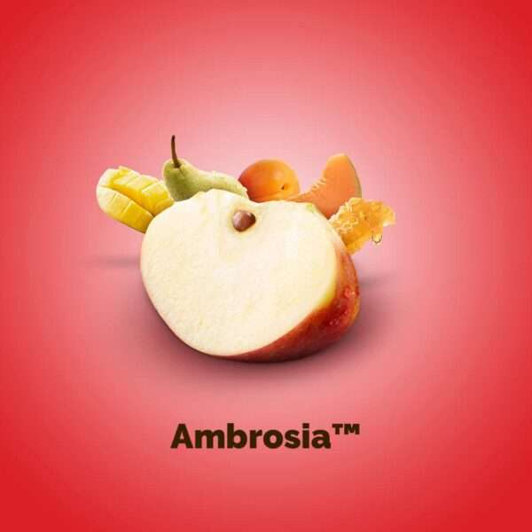 Descubre las manzanas que mejor se adapta a tus gustos