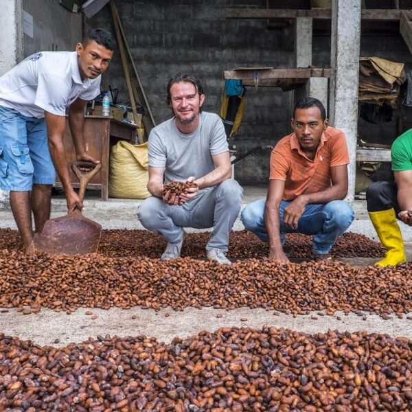 7 de julio: Día mundial del cacao