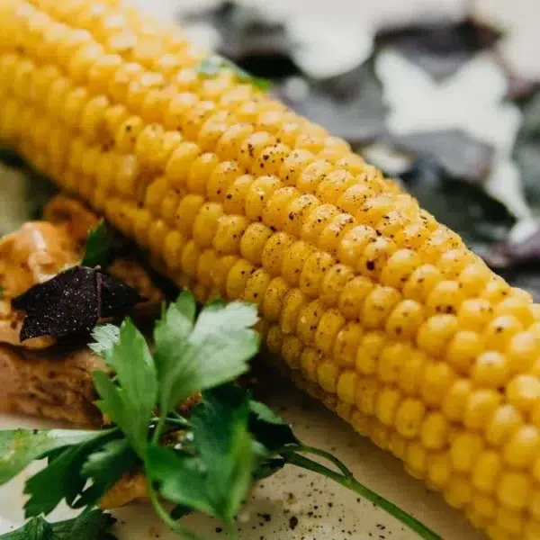 Recetas rápidas y fáciles para el día a día