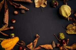 fiesta de Halloween