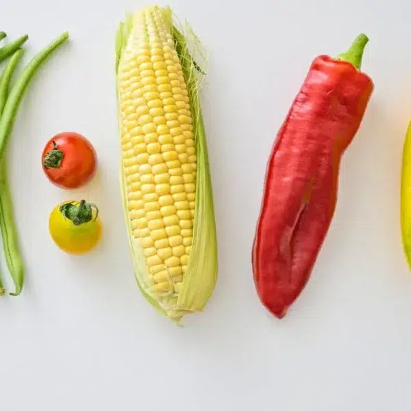 Recetas frescas