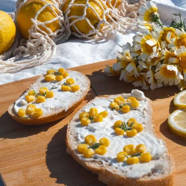 picnics perfectos