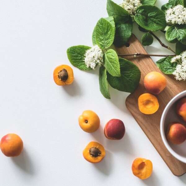 recetas frescas