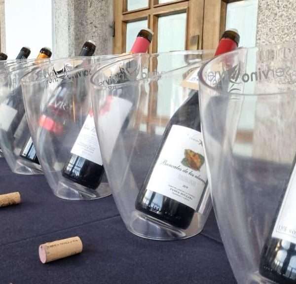 La "Aproximación a los Vinos de la Provincia de Lugo" celebra una edición récord con una masiva afluencia