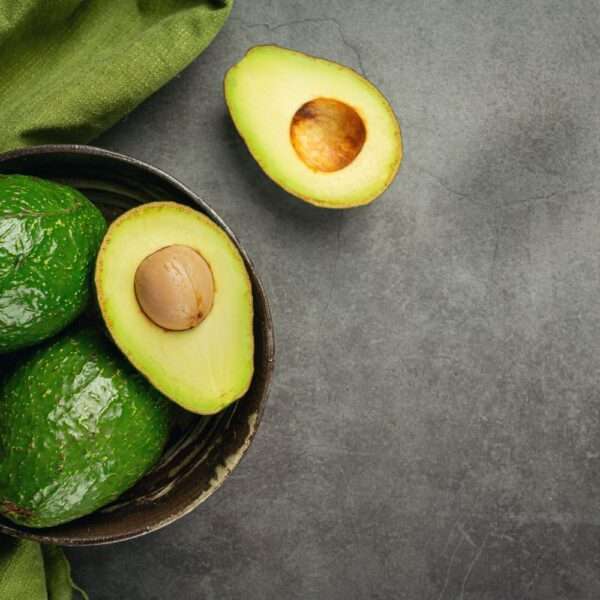 El aguacate lidera el ranking de eficiencia entre nutrientes y uso de agua
