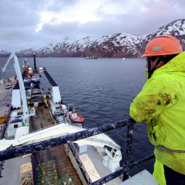 Más del 75% de las capturas mundiales de pescado blanco posee certificado de sostenibilidad