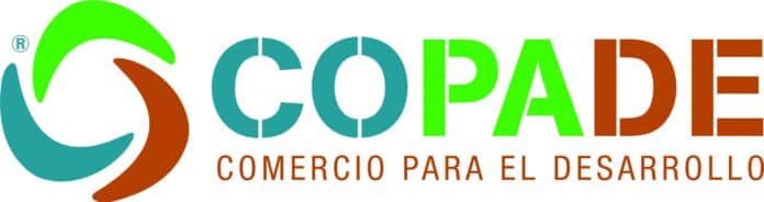 Más del 56% de España es bosque, pero su madera sigue desaprovechada