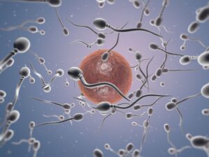 Dra. Miren Mandiola, directora del Laboratorio de Reproducción Asistida del Hospital de Día Quirónsalud Donostia: "Preservar la fertilidad permite a la mujer conciliar maternidad y proyectos personales"