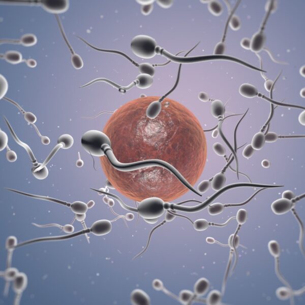 Dra. Miren Mandiola, directora del Laboratorio de Reproducción Asistida del Hospital de Día Quirónsalud Donostia: "Preservar la fertilidad permite a la mujer conciliar maternidad y proyectos personales"